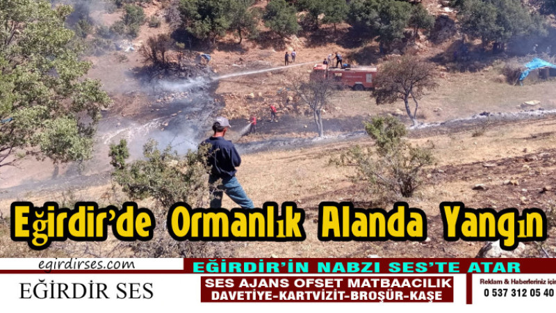 Eğirdir’de Ormanlık Alanda Yangın