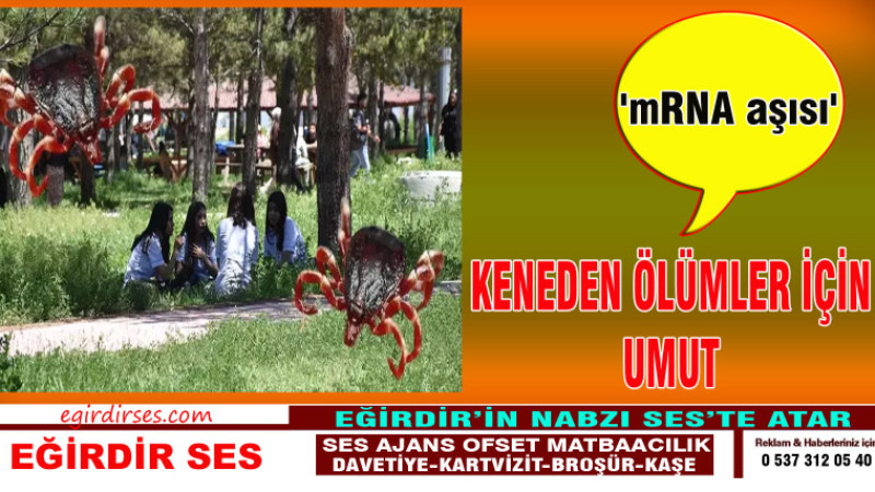 Keneden ölümler için 'mRNA aşısı' umudu