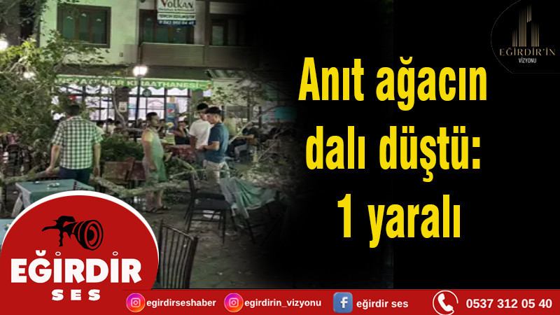 Anıt ağacın dalı düştü: 1 yaralı