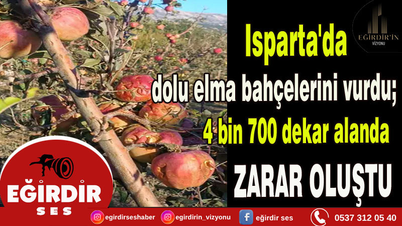 Isparta'da dolu elma bahçelerini vurdu; 4 bin 700 dekar alanda zarar oluştu