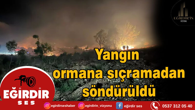 Yangın ormana sıçramadan söndürüldü