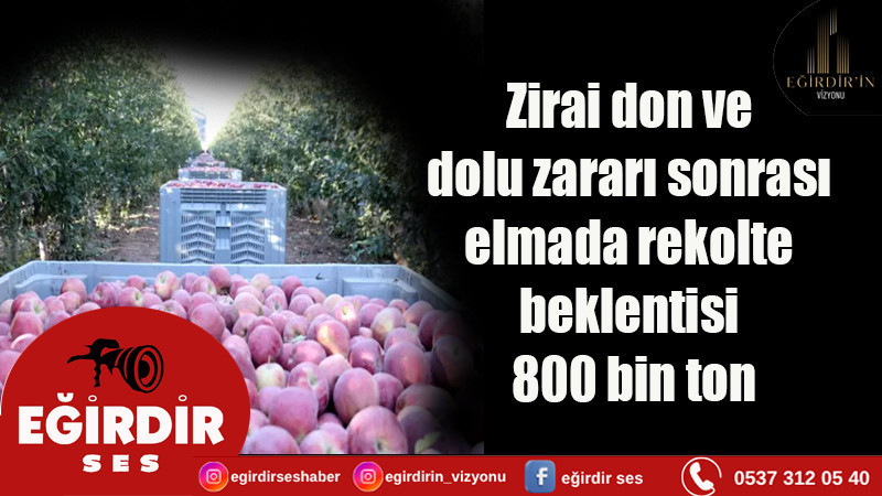 Zirai don ve dolu zararı sonrası elmada rekolte beklentisi 800 bin ton