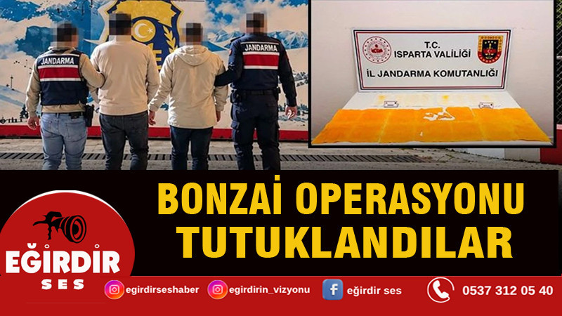 Isparta'da bonzai operasyonu