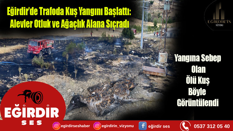 Eğirdir’de Trafoda Kuş Yangını Başlattı:  Alevler Otluk ve Ağaçlık Alana Sıçradı