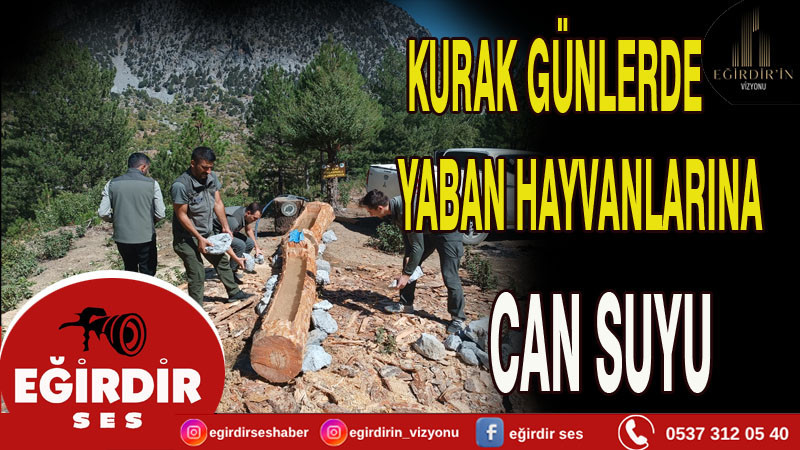 KURAK GÜNLERDE YABAN HAYVANLARINA SU KAPLARI YERLEŞTİRİLDİ