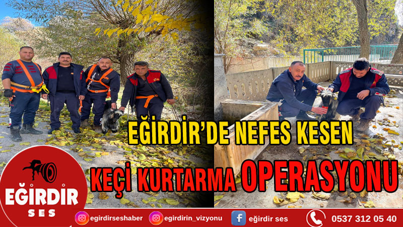 Sarpa Sıkışan Keçi 5 Saatlik Operasyonla Kurtarıldı