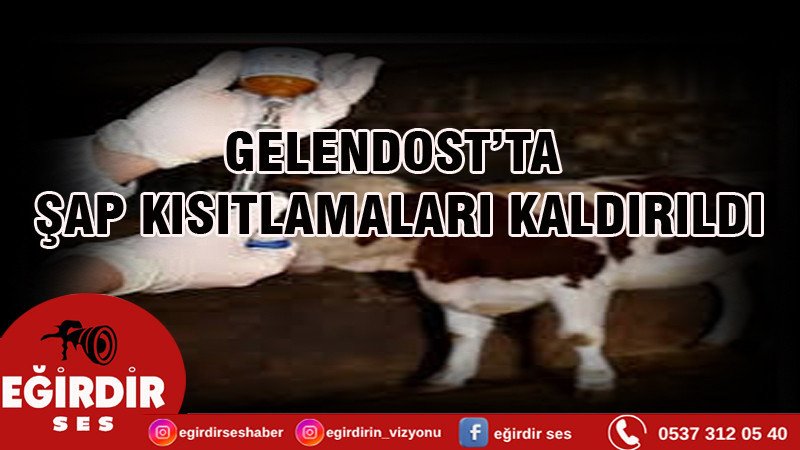 Gelendost’ta Şap Kısıtlamaları Kaldırıldı