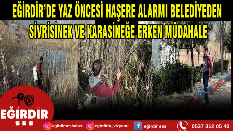 EĞİRDİR BELEDİYESİ’NDEN SİVRİSİNEK VE KARASİNEĞE KARŞI ERKEN MÜDAHALE