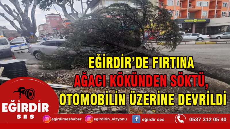 EĞİRDİR’DE FIRTINA AĞACI KÖKÜNDEN SÖKTÜ, OTOMOBİLİN ÜZERİNE DEVRİLDİ