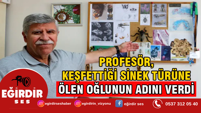 Profesör, keşfettiği sinek türüne ölen oğlunun adını verdi